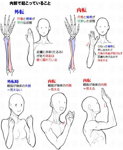 Draw Hands, Manga Tutorial, Anatomy Tutorial, Anatomy Sketches, Different Poses, Body Reference Drawing, Body Anatomy, Anatomy Drawing, Poses References