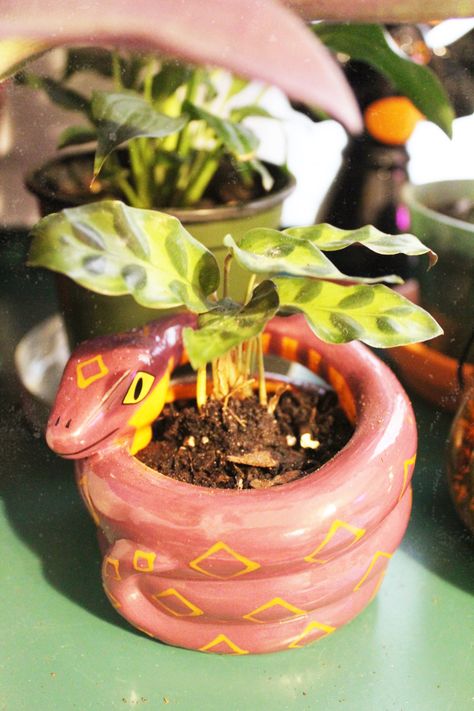 Diy Clay Plant Pots Aesthetic, How To Clay Art, Clay Plant Decorations, Witchy Plant Pots, Pot Clay Art, Clay Plant Accessories, Clay Pots Aesthetic, Clay Witchy Crafts, Clay Flower Pots Ideas