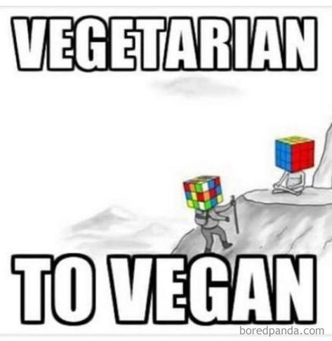 25+ Hilarious Vegan Memes That May Change The Way You Look At Meat Animal Rights Quotes, Vegan Muscle, Vegan Facts, Vegan Vibes, Being Vegan, Vegan Memes, Vegetarian Life, Vegan Quotes, Vegan Humor