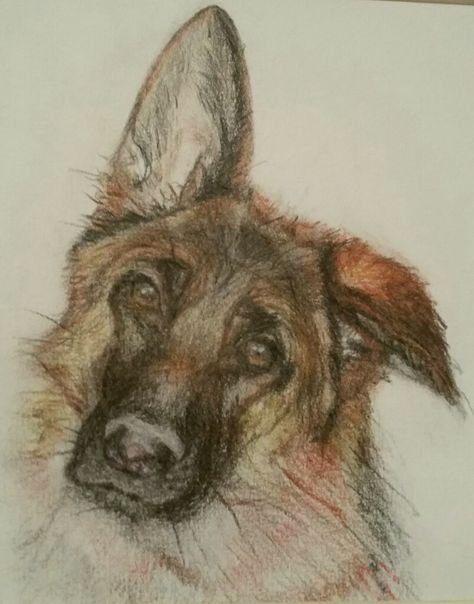 German Shepard Draw, German Shepherd Pencil Drawing, German Shepherd Drawing Sketches, Drawings Of German Shepherds, German Shepard Drawing Reference, Gsd Drawing, How To Draw A German Shepherd, Drawing German Shepherd, Diy Sketches