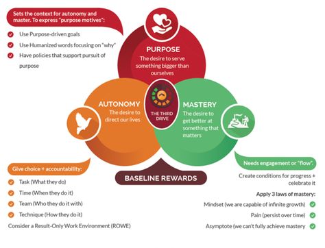 Drive_Motivation3.0 Daniel Pink, Increase Motivation, Employee Motivation, Theory Of Change, Organizational Development, Motivation Theory, Behavioral Economics, Success Books, Marketing Plan Template