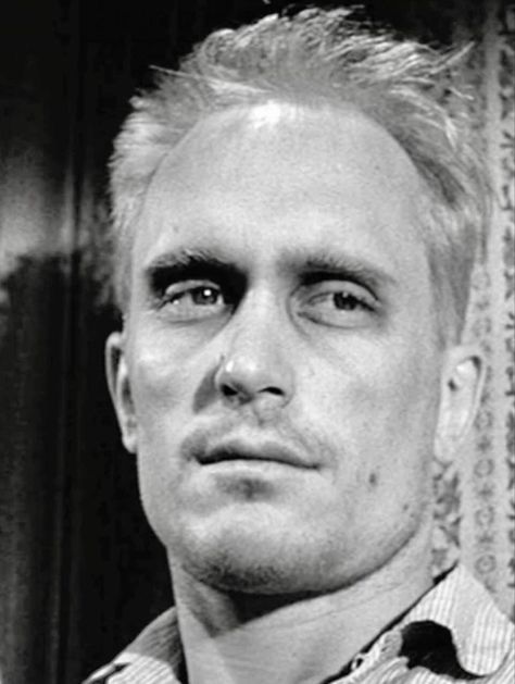 Robert Duvall (January 5, 1931) in his critically acclaimed performance as “Boo” Radley in, “To Kill A Mockingbird.” Boo Radley, Kill A Mockingbird, Robert Duvall, Cool Picks, In Cold Blood, To Kill A Mockingbird, People Of Interest, Botanical Beauty, Opera Singers