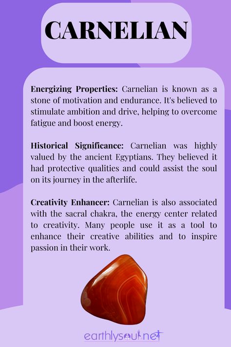 Carnelian is a captivating crystal that is often associated with courage, vitality, and motivation. Carnelian Properties, Carnelian Meaning, Infused Water Bottle, Crystals Healing Properties, Ancient Egyptians, Boost Creativity, Energy Cleanse, Spiritual Power, Crystal Magic