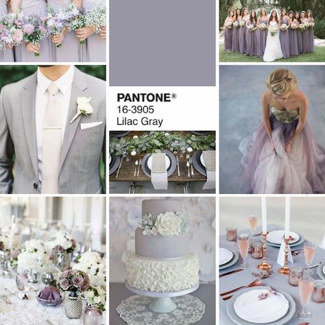 Get classy with LILAC GREY (Pantone colour of 2016 ) | Grey wedding | classy… Cake Wedding Elegant, Lavender Grey Wedding, Lilac Gray Wedding, Lilac Wedding Themes, Grey Wedding Decor, Grey Wedding Theme, Color Palette Wedding, Choosing Wedding Colors, Lilac Gray