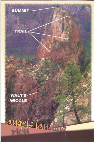 Angels Landing Zion National Park, Zion National Park Photography, Angels Landing Zion, Zion National Park Hikes, Zion Utah, Utah National Parks Road Trip, Utah Vacation, Utah Adventures, Utah Road Trip