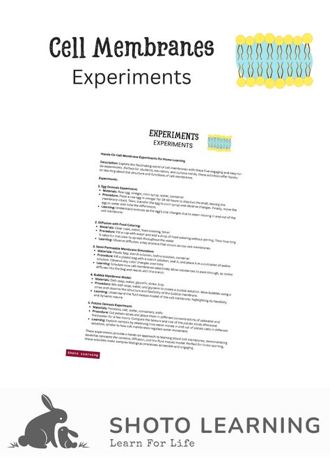 Discover the wonders of cell membranes with our concise "Cell Membrane Magic" guide. This one-page experiment offers a hands-on activity to explore osmosis, diffusion, and selective permeability. Perfect for students and educators, it includes easy-to-follow instructions for a fun, educational experience. Ideal for classrooms or home learning! Cell Membrane Structure, Membrane Structure, Structure And Function, Cell Membrane, Hands On Learning, Interactive Activities, Home Learning, Hands On Activities, Teaching Tools