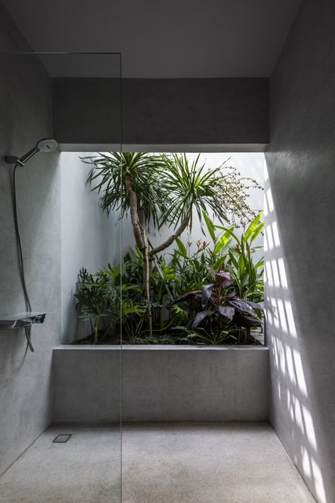 Bathroom With Courtyard, Plants In Bathrooms, Plant In Bathroom, Bathroom With Garden, Toilet Garden, Bathroom With Plants, Plants In Bathroom, Bathroom Plants No Sunlight, Houses Photography