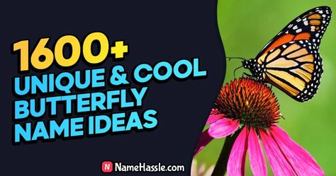 Cool And Funny Butterfly Names Ideas (Generator) Butterfly Names, Funny Butterfly, Usernames Ideas, Aesthetic Usernames, Username Ideas, Names Ideas, Name Ideas, How To Memorize Things, Bts