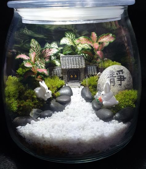 Japanese Garden Terrarium, Japanese Terrarium, Terrarium Japanese, Terrarium Landscape, Artificial Terrarium, Fishbowl Terrarium, Modern Terrarium, Unusual Planter, Terrarium Jar