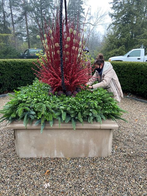 Dogwood Shrub, Detroit Garden Works, Winter Containers, Dry Floral Foam, Scale And Proportion, Red Twig Dogwood, Deborah Silver, Outdoor Christmas Planters, Red Centerpieces