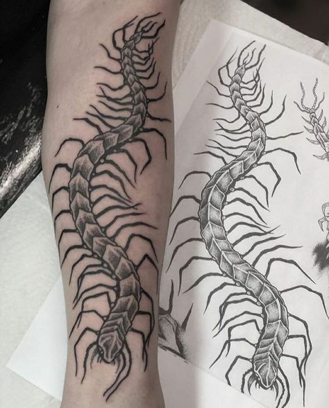 Centipede Spine Tattoo, Centipede Tattoo Design, Centipede Tattoo, Insect Tattoo, Sick Tattoo, Tattoo Stencil Outline, Tattoo Style Drawings, Spine Tattoo, Aesthetic Tattoo