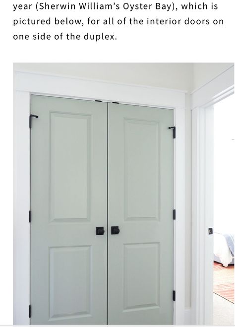 Closet Door Accent Color, Oyster Bay Sherwin Williams, Closet Doors Painted, Woods Ideas, Paint Inspiration, Green Door, Closet Door, Wall Ceiling Lights, Accent Doors