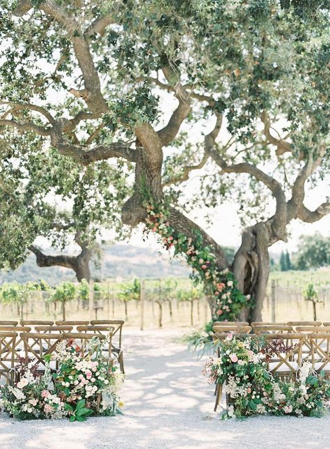 A Floral Adorned Oak Tree Was the Main Event at This Sunstone Winery Summer Wedding Stephanie Cole, Sunstone Winery Wedding, Tree Wedding Ceremony, Sunstone Villa, Oak Tree Wedding, Wedding Tree Decorations, Elopement Planner, Santa Barbara Wedding, Main Event