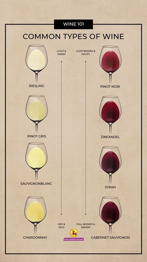 Wine Flavor Chart, Grape Varieties Wine Infographic, Wine Facts Interesting, Wine Types Charts, Wine Categories, Wine Information, Wine Spectrum, Wine Classification, Wine Guide For Beginners