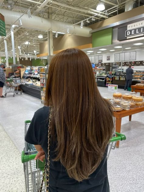 Layers For Long Hair Brown, Aesthetic Haircuts Long Straight, Long Haircut Straight Layers, Straight Long Layers Haircut, Long Layers Brown Hair Straight, Haircut Inspo Long Straight, Layers On Long Brown Hair, Long Layers Long Hair Straight, Layers Straight Hair Long