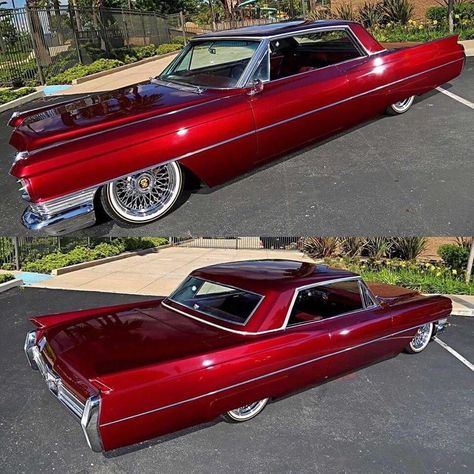 Hoodlum on Instagram: “Low and Slow! #cadillac #whitewalls #slammed #reflectorcollector” Old Cadillac, Mercedes Classic Cars, Cadillac Lowrider, Donk Cars, Classic Cars Chevy, Coupe Deville, Cool Old Cars, Cadillac Cts V, Cadillac Ct6