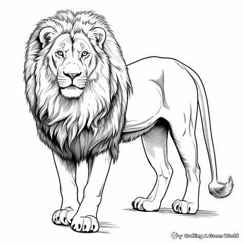 Lion Sketch Simple, Realistic Lion Drawing, Realistic Coloring Pages, Lion Sketch, Kindergarten Coloring Pages, Lion Drawing, Butterfly Plants, Lion Wallpaper, Natural Toys