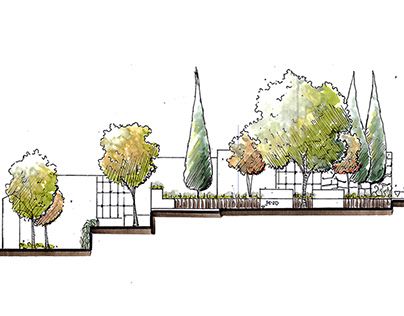 Landscape Architecture Section, Plants Sketch, Architectural Trees, Sketch Landscape, Landscape Architecture Plan, Plant Sketches, Landscape Architecture Drawing, Elevation Drawing, Tree Sketches