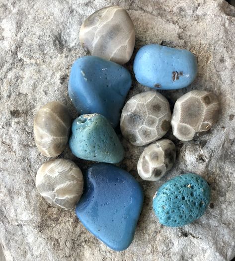 Leland blues & petoskeys Leland Michigan, Leland Blue Stone, Michigan Rocks, Blue Rocks, Rock Hounding, Blues Rock, Lake Michigan, Blue Stone, Michigan