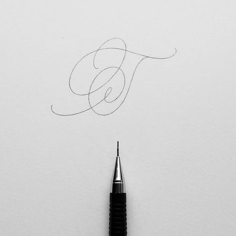 T Calligraphy, Cursive Fonts Alphabet, Cursive T, Calligraphy Letters Alphabet, Calligraphy Worksheet, Calligraphy T, Nouveau Tattoo, Calligraphy Drawing, Copperplate Calligraphy