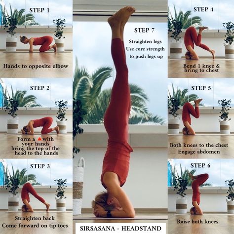 Step by step into sirsasana #sirsasana #headstand #yoga #yogaforbeginners #yogatutorials #yogateacher How To Headstand Yoga Beginner, Yoga Step By Step, Yoga Headstand For Beginners, Yoga Headstand Poses, Yoga Handstand Beginner, Yoga Inversions For Beginners, Headstand Beginner, Handstand Step By Step, Headstand Yoga Beginner