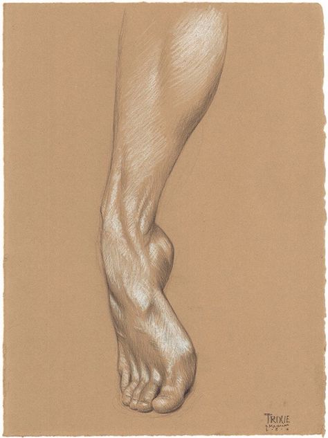 Feet Drawing, Human Anatomy Art, Anatomy Sketches, Anatomy For Artists, Figure Sketching, Anatomy Drawing, Poses References, Body Drawing, Anatomy Art