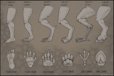 . Dragon Feet Drawing Reference, Legs Drawing, Leg Reference, Dragon Anatomy, Human Legs, Feet Drawing, Drawing Legs, Bird People, Anatomy Sculpture