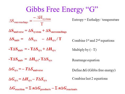 Gibbs Free Energy Gibbs Free Energy Notes, Gibbs Free Energy, Stem Notes, Ap Chem, Chemistry Activities, Organic Chemistry Study, Chemistry Study Guide, Ap Physics, Chemistry Basics