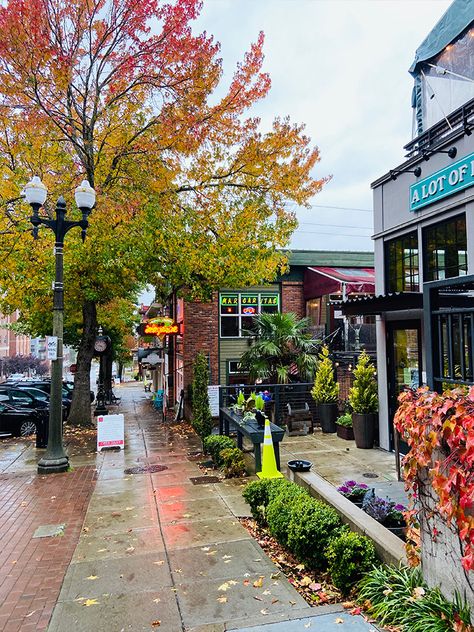 Pacific Northwest Small Town, Washington State Living, Washington State City, Beautiful Places In Washington State, Pacific Northwest Fall, Pacific Northwest Town, Fall In Washington State, Places To Visit In Washington State, Bellingham Washington Aesthetic