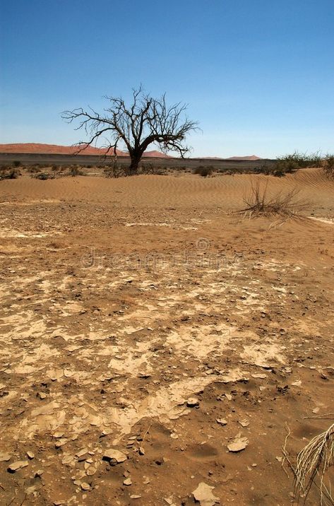 Dry earth in namib desert. Image was shot out of a vlei (dry riverbed) in th ena , #Sponsored, #desert, #Image, #namib, #Dry, #earth #ad Pictures Of Weather, Dry Earth, Desert Biome, Desert Area, Dry Desert, Namib Desert, Dry Land, Word Building, Model Art