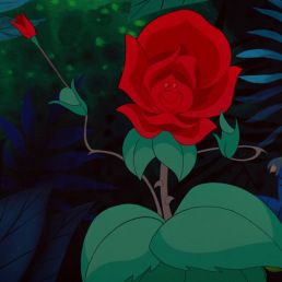 Paper Rose Craft, Film Alice In Wonderland, Alice In Wonderland Flowers, Alice In Wonderland 1951, Painting The Roses Red, Disney Presents, Rose Crafts, Disney Wiki, White Rabbits