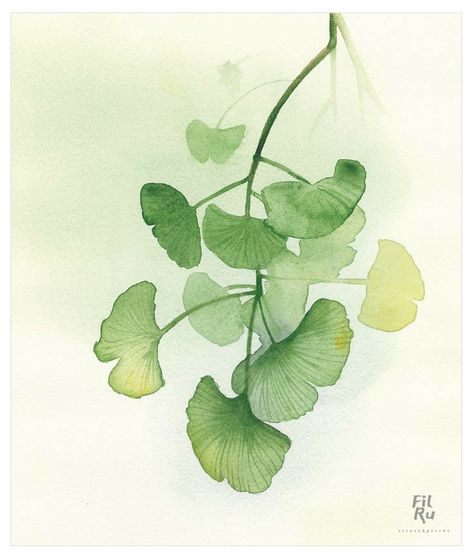 Botanical Sketchbook, Flower Drawing Tutorials, Gingko Leaves, Leaves Illustration, Watercolor Projects, Watercolor Plants, Floral Drawing, Watercolor Flower Art, Floral Artwork