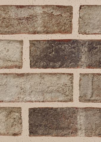 Charleston Brick | Triangle Brick Company Triangle Brick, Laurel Cottage, Home Exterior Colors, Wood Shiplap, New Home Exterior, Brick Companies, Brick Steps, Spec Home, Brick Colors