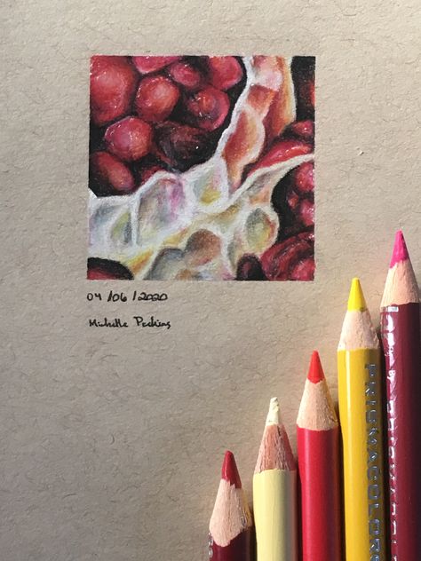 Colour Studies Gcse Art, Pomegranate Pencil Drawing, Pomegranate Drawings, Pomegranate Art Illustrations, Colour Pencil Sketches, Pomegranate Sketch, Drawing Pomegranate, Tools Mechanical, Pomegranate Drawing