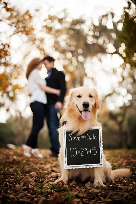 Invitations With Pictures, Wedding Fotos, Wedding Invitations With Pictures, Cute Engagement Photos, Engagement Photo Shoot, Engagement Pictures Poses, Foto Tips, Engagement Poses, Engagement Photo Poses