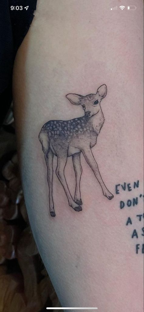 Life Is Strange Deer Tattoo, Fawn Tattoo Deer, White Tail Deer Tattoo, Cute Deer Tattoo, Female Deer Tattoo, Dear Tattoos, Simple Deer Tattoo, Nanny Tattoo, Gummy Bart