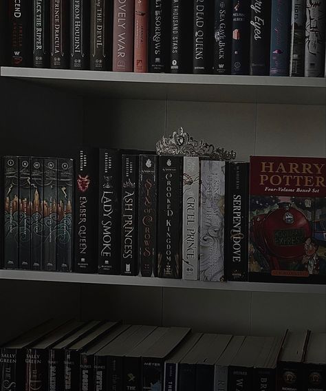 Bookshelf Dark Aesthetic, Black Book Shelf Aesthetic, Black Bookshelves Aesthetic, Dark Bookshelf, Bedroom With Bookshelf, Pretty Bookshelf, Booktok Bookshelf, Dark Bookshelves, Amber Aesthetic