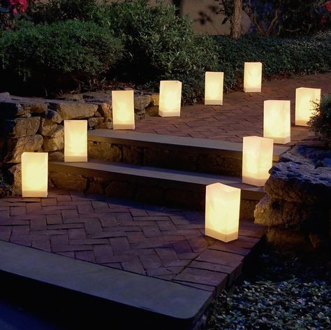 Luminaries Bags, Lantern Set, Pathway Lighting, Reception Party, Botanic Garden, Heart Wedding, Rustic Wedding Decor, Holiday Lights, Wedding Planners