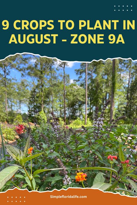 North Florida Garden, Zone 9a Planting Schedule, North Florida Gardening, What To Plant In August, Fall Planting Guide, Girly Garden, Zone 9 Gardening, Garden 101, Garden Checklist