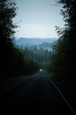 Car In The Woods, Forks Washington, Empty Road, Washington State Travel, Wa State, Oregon Washington, Olympic Peninsula, Twilight Saga, Washington State