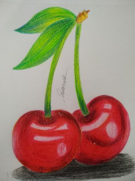 Colour Pencilshading Pastel Art Flowers, Oil Pastel Art Flowers, Pencil Colour Drawing Flower, Vegetables Drawing, Market Painting, Colored Pencil Artwork Ideas, Cherry Drawing, Vegetable Painting, Easy Flower Drawings