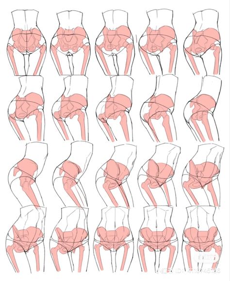 Pelvis Drawing Reference, Anatomy For Artists Female, Cute Anatomy Poses, How To Draw Pelvis, Hip Drawing Reference, Hips Drawing Reference, Pelvis Drawing, Ninja Reference, Hip Anatomy