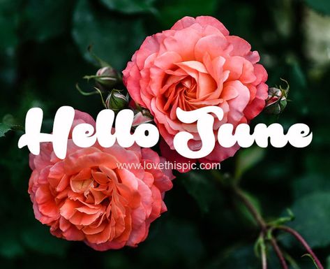 Hello June Quotes, June Images, June Quotes, Happy June, Hello June, Facebook Image, Quotes Images, Quotes, 10 Things