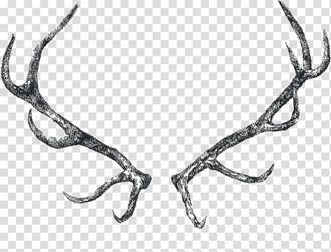 Buck Antlers Drawing, Antlers Side View, Elk Antlers Drawing, Antler Clip Art, Moose Antler Drawing, Hamsa Illustration, Moose Drawing, Reindeer Tattoo, Elk Horns