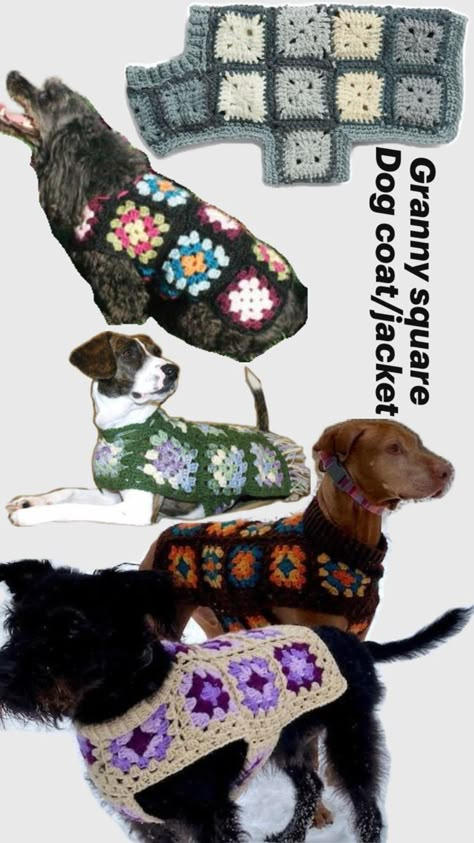 Granny Square Dog, Crochet Dog Hat, Knitting Quilt, Crochet Dog Clothes, Dog Sweater Crochet Pattern, Dog Sweater Pattern, Granny Square Crochet Patterns Free, Crochet Dog Sweater, Crochet Stitches Guide