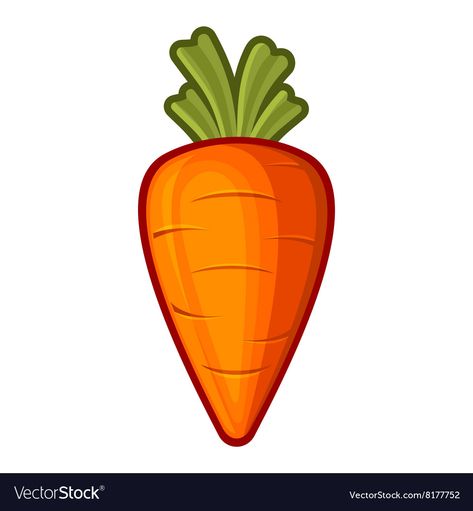 Cute Carrot Drawing, Carrot Printable, Carrot Template, Carrot Clipart, Carrot Cartoon, Carrot Art, Carrot Illustration, Carrot Drawing, Body Parts For Kids