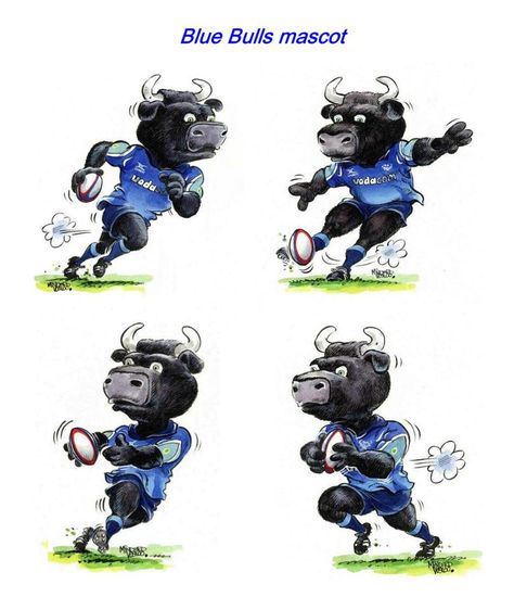 Blue Bulls Blue Bulls Rugby, Rugby Images, Rugby Party, Rugby Logo, Cricut Projects Easy, Baby Animal Art, Rugby Sport, Fish Artwork, Cricut Stencils