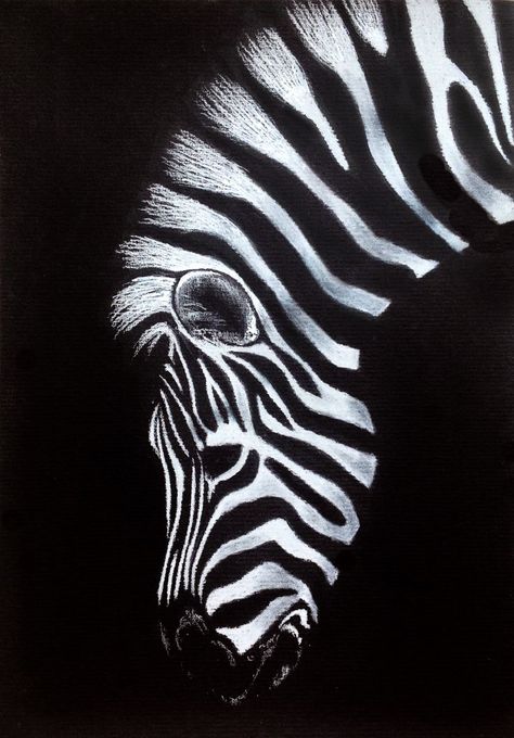 Aril Tatum, Zebra Drawing, Black Paper Art, Drawing Dragon, Black Canvas Art, Scratchboard Art, Zebra Art, Black Paper Drawing, Drawing Eyes