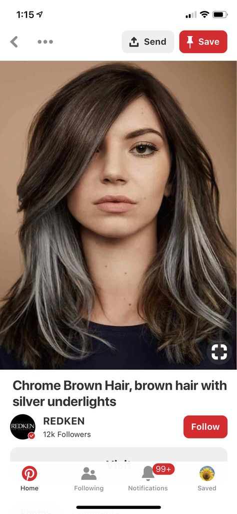 Streaks in front to gradually start letting it go gray... Medium Length Haircut Gray Highlights, Grey White Highlights On Dark Hair, Silver Streaks In Dark Hair Going Gray, White Streaks In Dark Hair, Front Grey Highlights, Hair Grey Streak, Gray Front Hair Streaks, Grey In Front Dark In Back Hair, Grey Streak In Hair