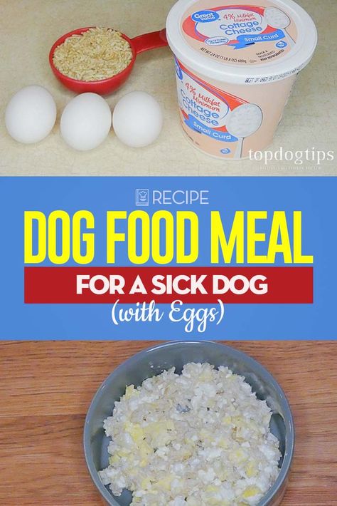 Recipe: Dog Food Meal for Sick Dog with Eggs – Top Dog Tips Food For Sick Dog, Homemade Renal Dog Food Recipes, Homemade Dog Food With Eggs, Pregnant Dog Food Recipes, Eggs For Dogs, Eggs And Rice, Dog Food Sensitive Stomach, Dog Upset Stomach, Senior Dog Food Recipes